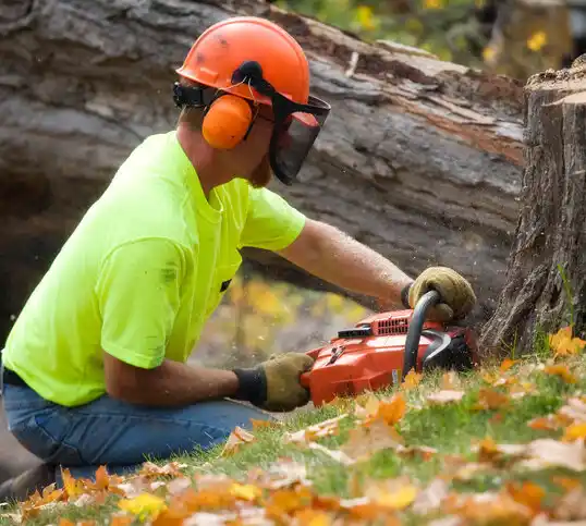 tree services New Carlisle